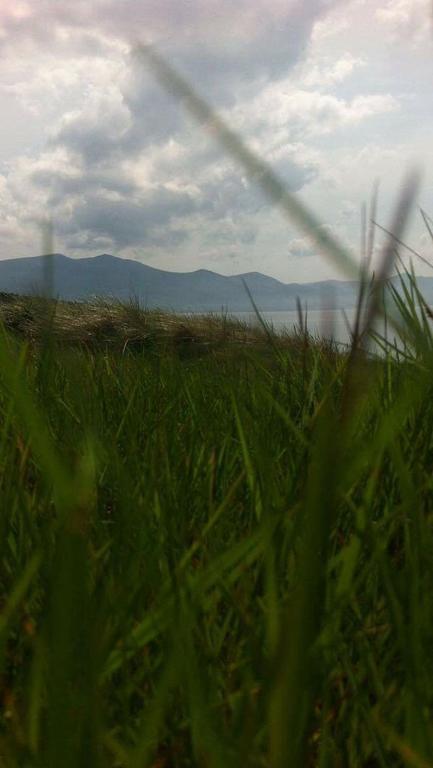 The Shores Country House Castlegregory Exteriör bild