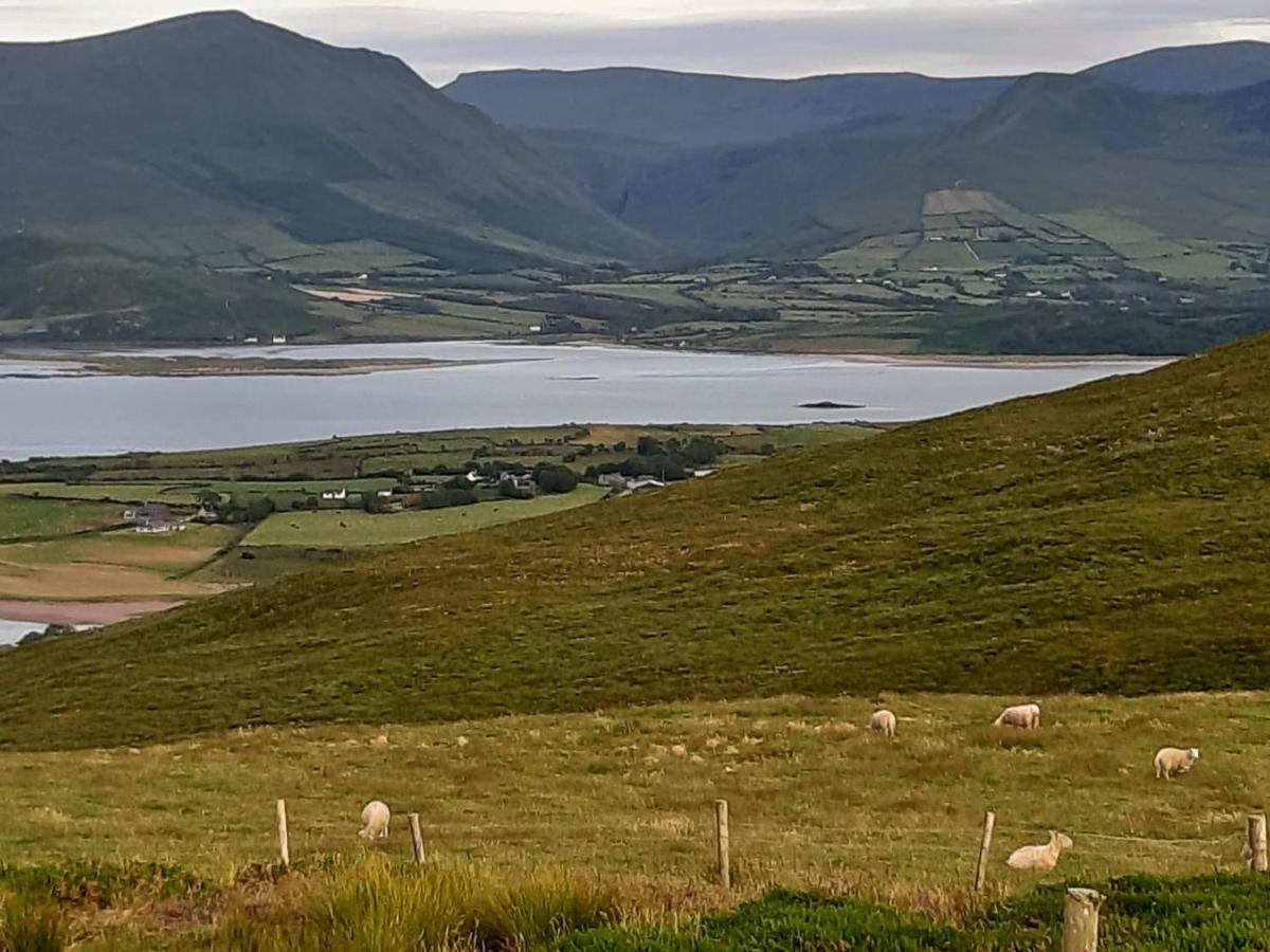 The Shores Country House Castlegregory Exteriör bild
