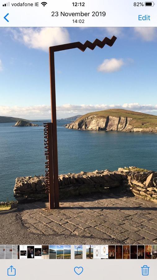 The Shores Country House Castlegregory Exteriör bild